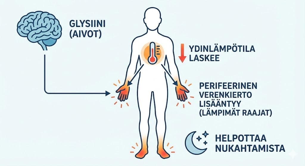 Glysiini vaikutukset kehoon ja uneen