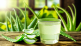 5 aloe vera -mehun terveyshyötyä